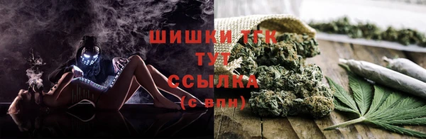 спиды Покачи